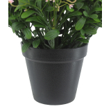 Pot