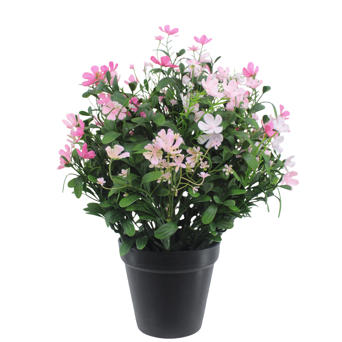 Saponaire artificielle rose