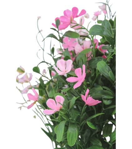 Saponaire artificielle rose