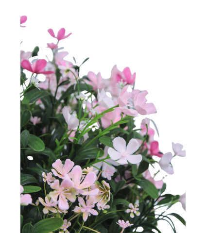 Saponaire artificielle rose