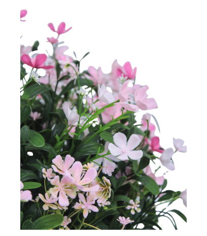 Saponaire artificielle rose