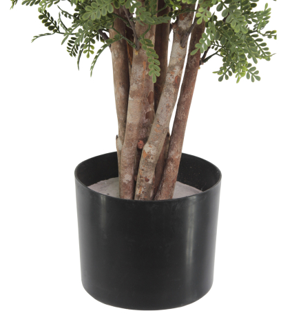 Pot