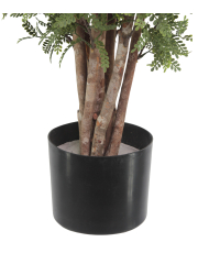 Pot
