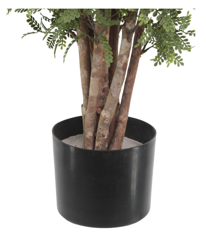 Pot