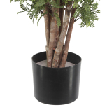 Pot