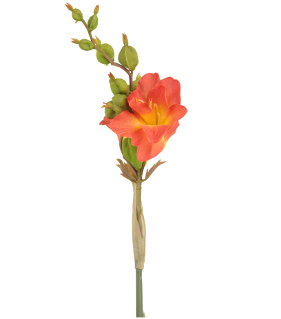 Canna artificiel