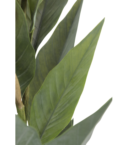 Canna artificiel