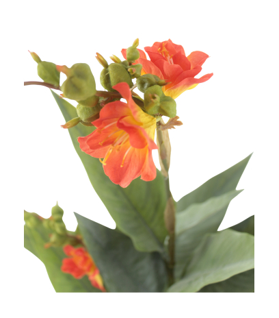 Canna artificiel