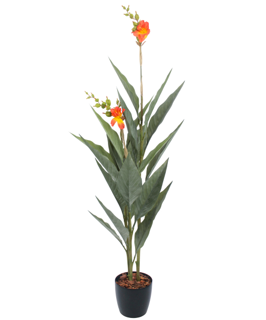 Canna artificiel