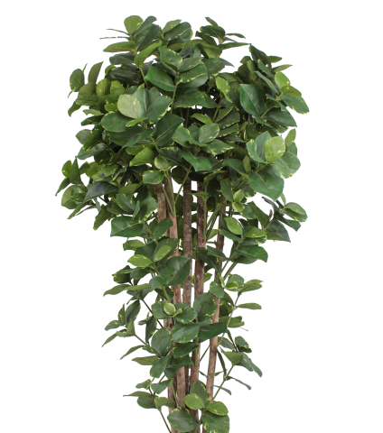 Grand clusier artificiel panaché