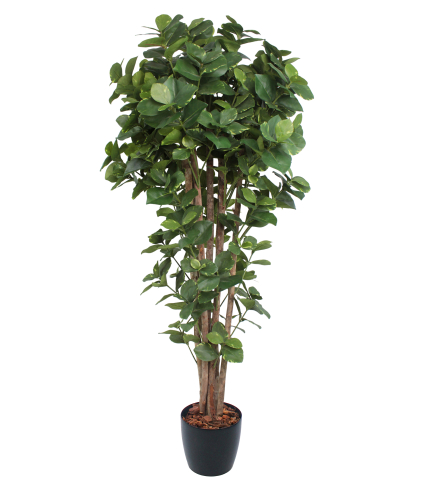 Grand clusier artificiel panaché