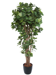 Grand clusier artificiel panaché