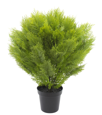 Cyprès buisson artificiel