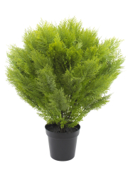 Cyprès buisson artificiel