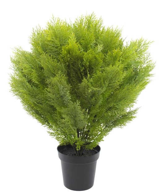 Cyprès buisson artificiel