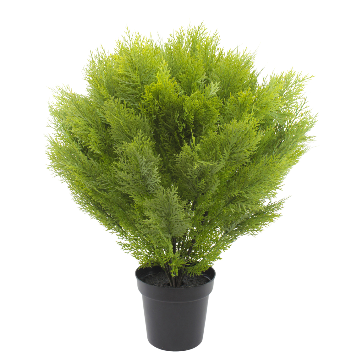Cyprès buisson artificiel Cyprès buisson artificiel