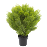 Cyprès buisson artificiel