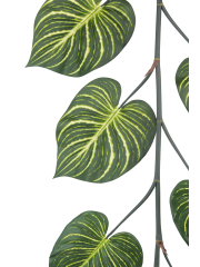 Guirlande d'aphelandra artificielle