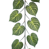 Guirlande d'aphelandra artificielle
