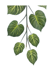 Guirlande d'aphelandra artificielle
