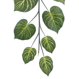 Guirlande d'aphelandra artificielle