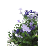 Saponaire artificielle violette
