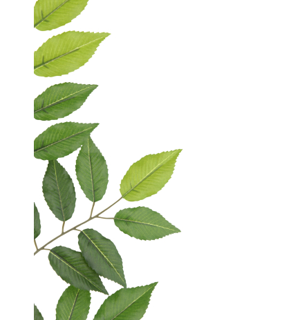 Feuille de charme artificielle