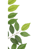 Feuille de charme artificielle