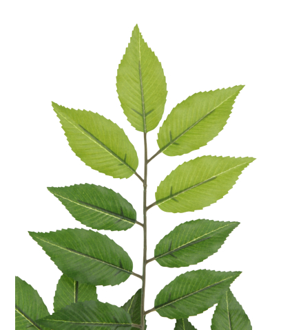 Feuille de charme artificielle