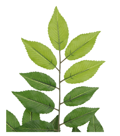 Feuille de charme artificielle