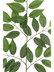Feuille de charme artificielle