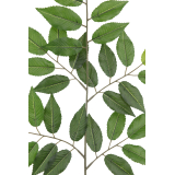 Feuille de charme artificielle