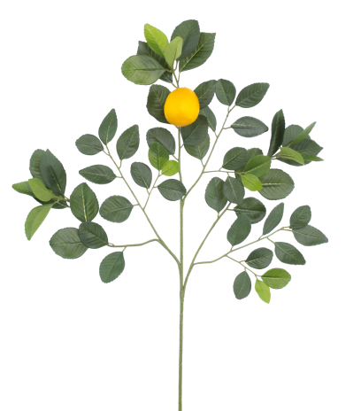 Branche de citronnier artificielle