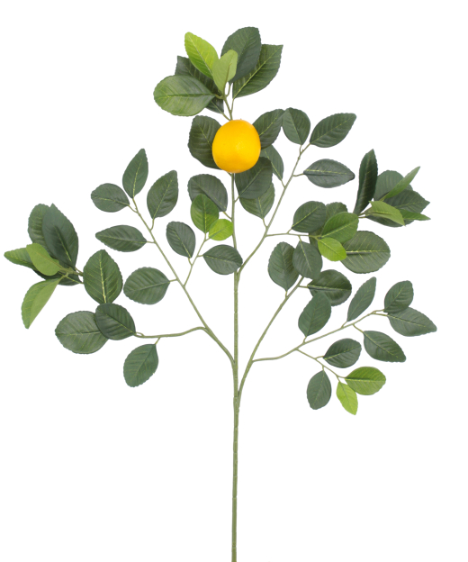 Branche de citronnier artificielle