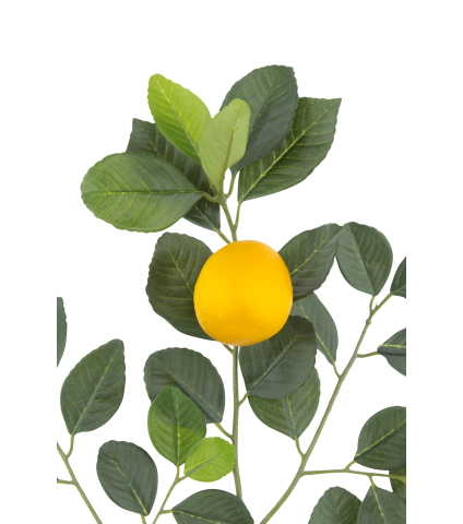 Branche de citronnier artificielle