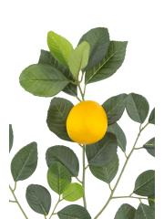 Branche de citronnier artificielle