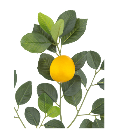 Branche de citronnier artificielle