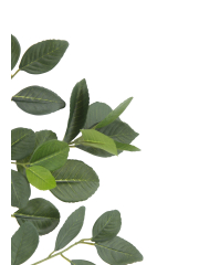 Branche de citronnier artificielle