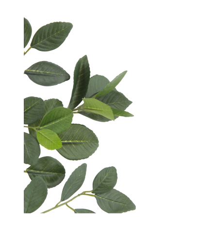 Branche de citronnier artificielle