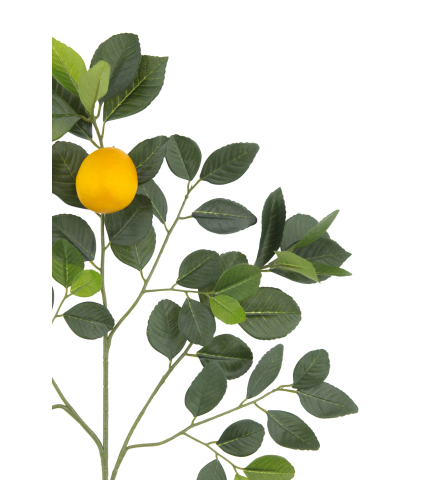 Branche de citronnier artificielle