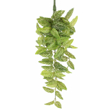 Chute de strobilanthe artificielle