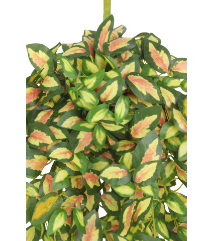 Chute de hoya carmosa artificielle