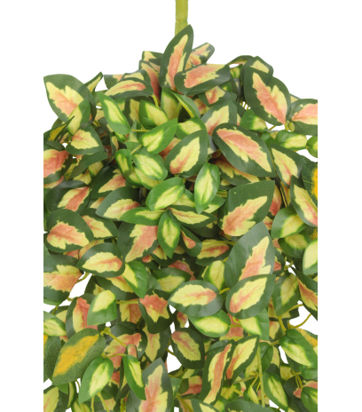 Chute de hoya carmosa artificielle