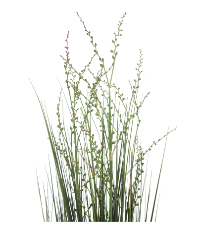 Millet vivace artificiel