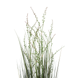 Millet vivace artificiel