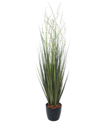 Millet vivace artificiel