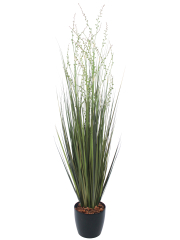 Millet vivace artificiel