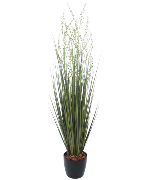 Millet vivace artificiel