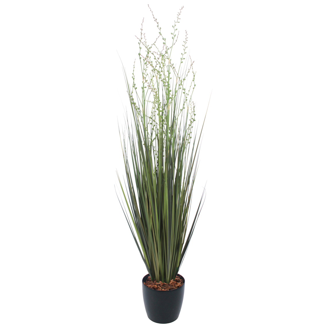 Millet vivace artificiel Millet vivace artificiel