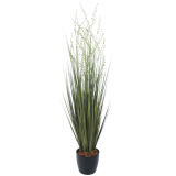 Millet vivace artificiel